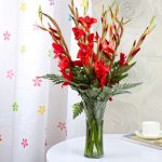 Red Glads in a Glass Vase Online