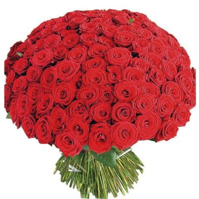 Rose Day Gifts Online