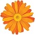 Flowers Under Rs 500