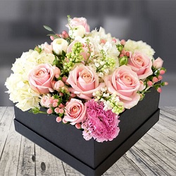 Corporate Flowers Lucknow