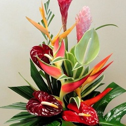 Exotic Arrangement