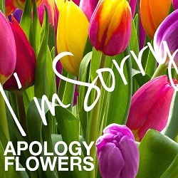 Sorry Flowers