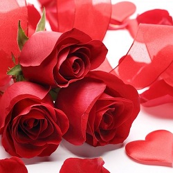Rose Day
