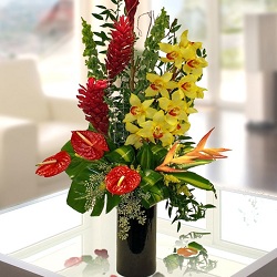 Valentine Exotic Flower Arrangements
