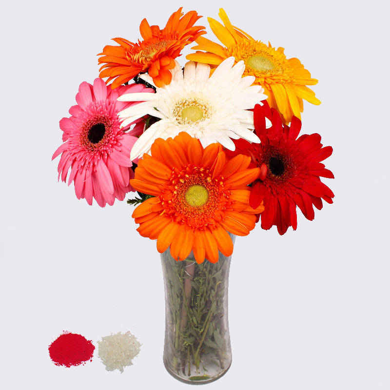 6 Mix Gerberas in a Vase for Bhaidooj