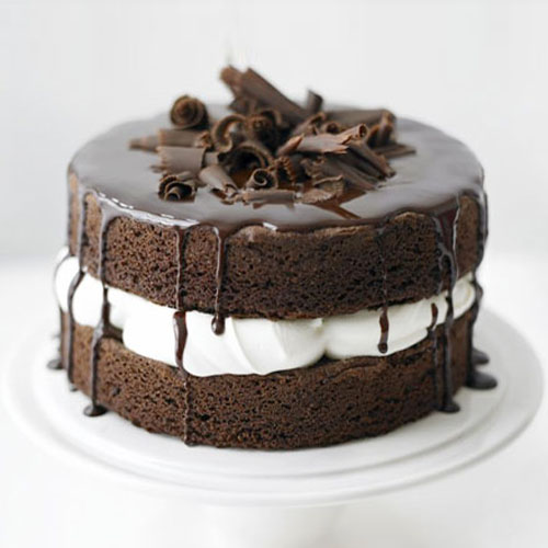 Chocolate Sponge Layer Cake