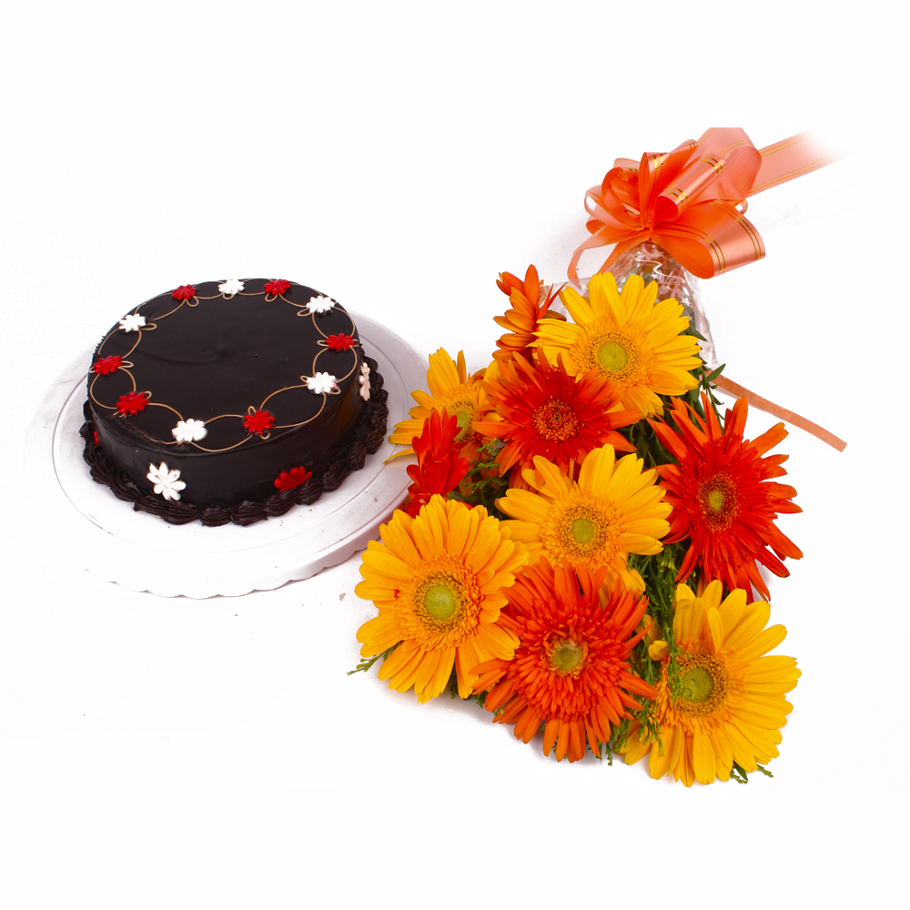 Half kg Chocolate Cake with Bunch of Ten Mix Gerberas