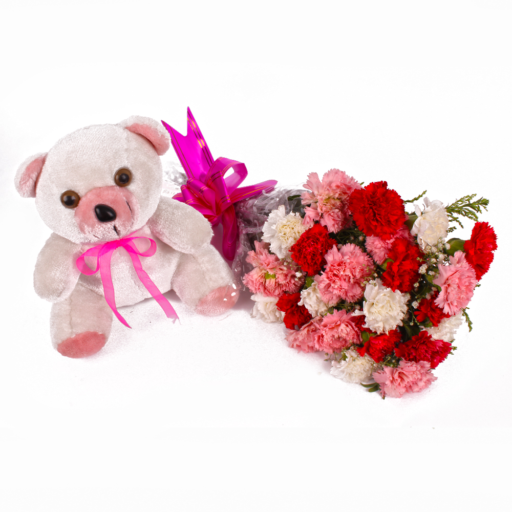 Cute Teddy Bear with Assorted Carnations Bouquet