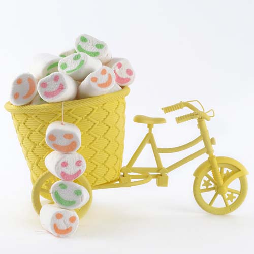 Marshmallow Chocolates in Cycle Basket