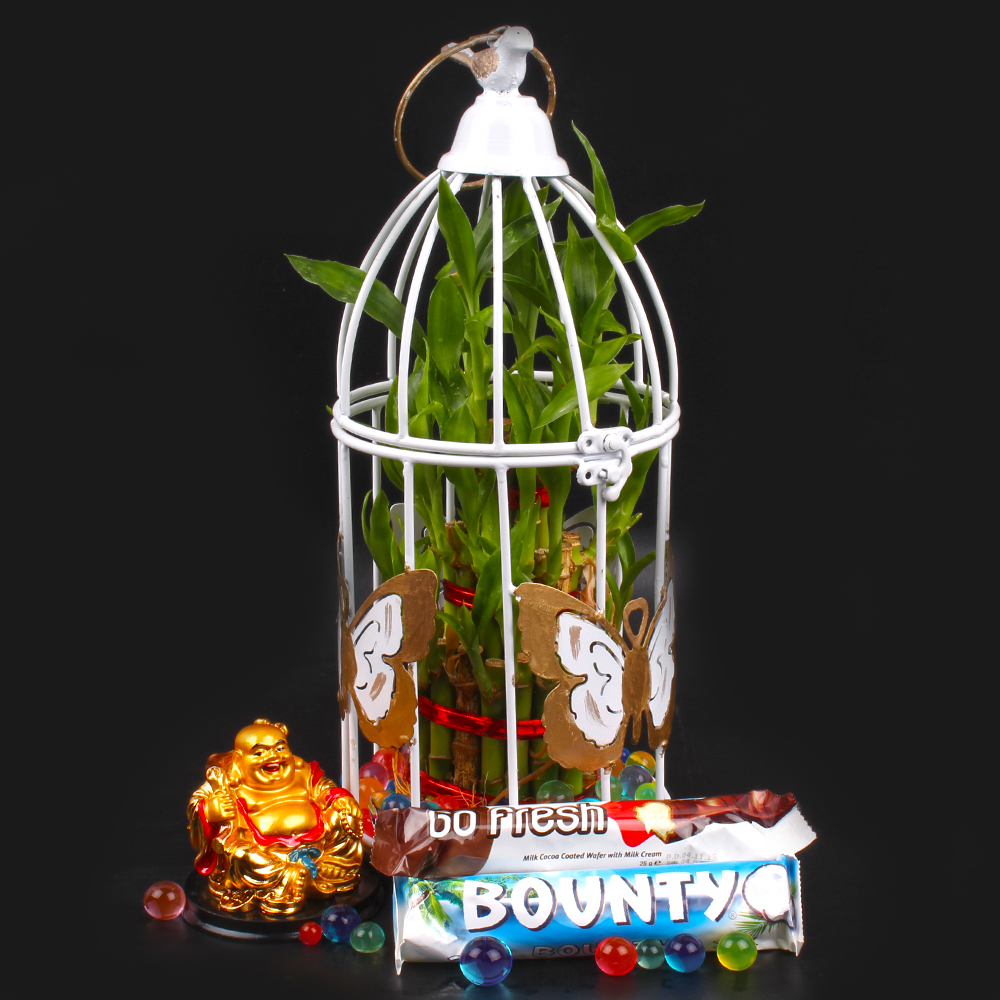 Hamper of Butterfly Bird Cage with Laughing Buddha included Chocolates and Good Luck Plant