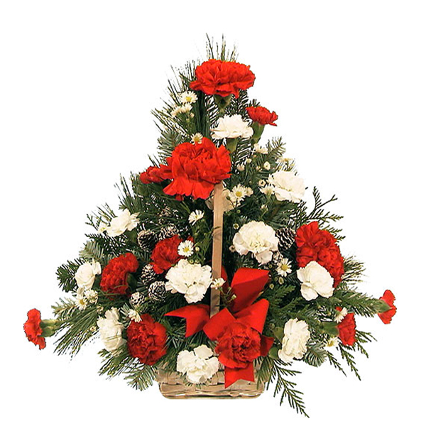 Elegant Carnations Basket