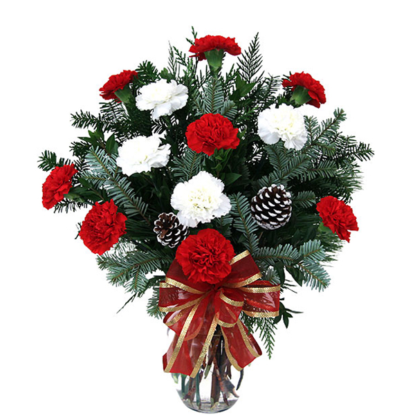 Premium Carnations Vase