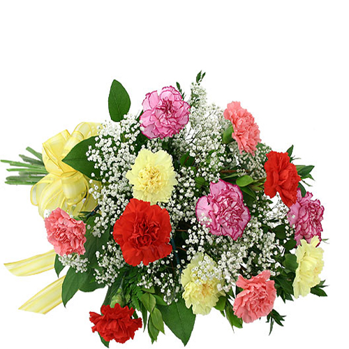 Fresh Carnations Bouquet