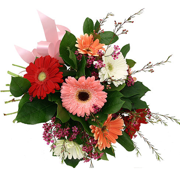 Mix Gerberas Bunch