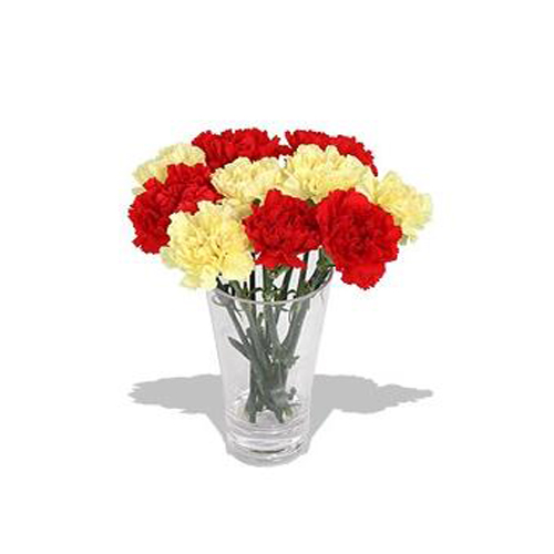 Glass vase of red and yellow Carnations