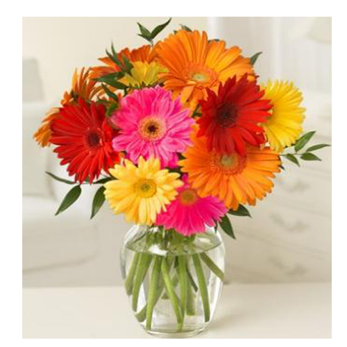 10 Multi color Gerberas in vase