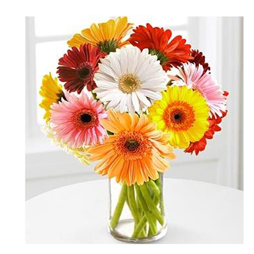 Dozen Multi color Gerberas in vase