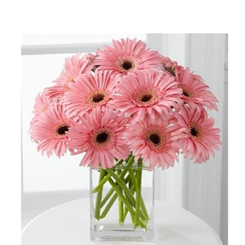 12 lovely pink gerberas In Glass vase