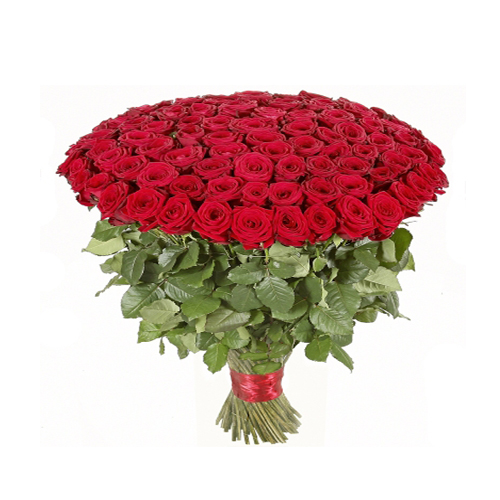 Bunch of 100 red roses