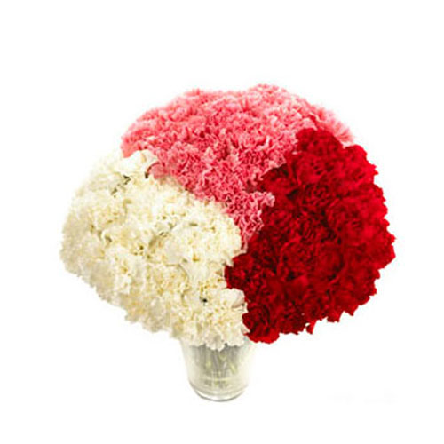 Trio Color Carnation In Vase
