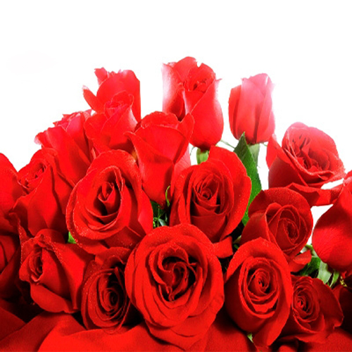 17 Red Roses Bouquet