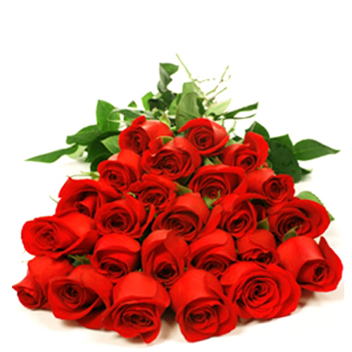 24 Red Roses Bouquet