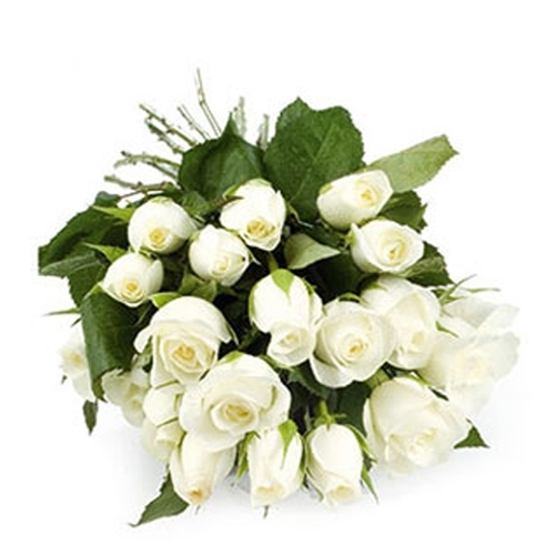 18 White Roses