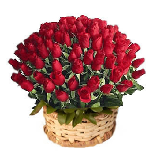 50 Red Roses Arrangement