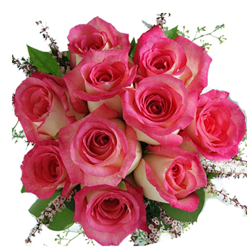 10 Dark Pink Roses Bunch