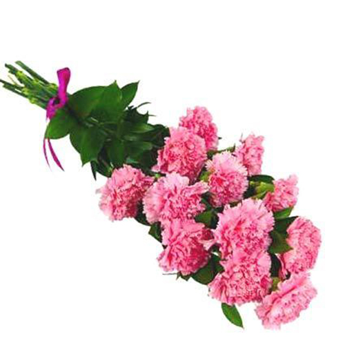 Pink Carnation Bouquet