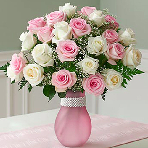 Popular Pink And White Roses