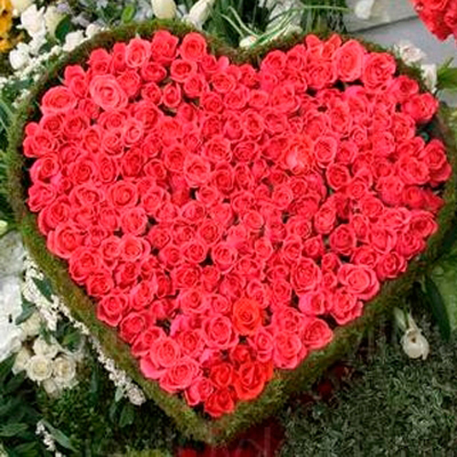 Giant Heart Shape Arrangement of 200 Roses