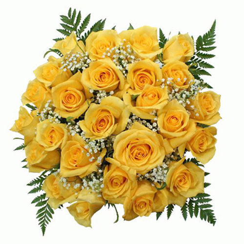 Bouquet of 25 Yellow Roses