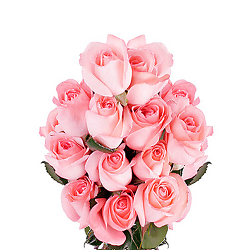 15 Pink Roses Bouquet
