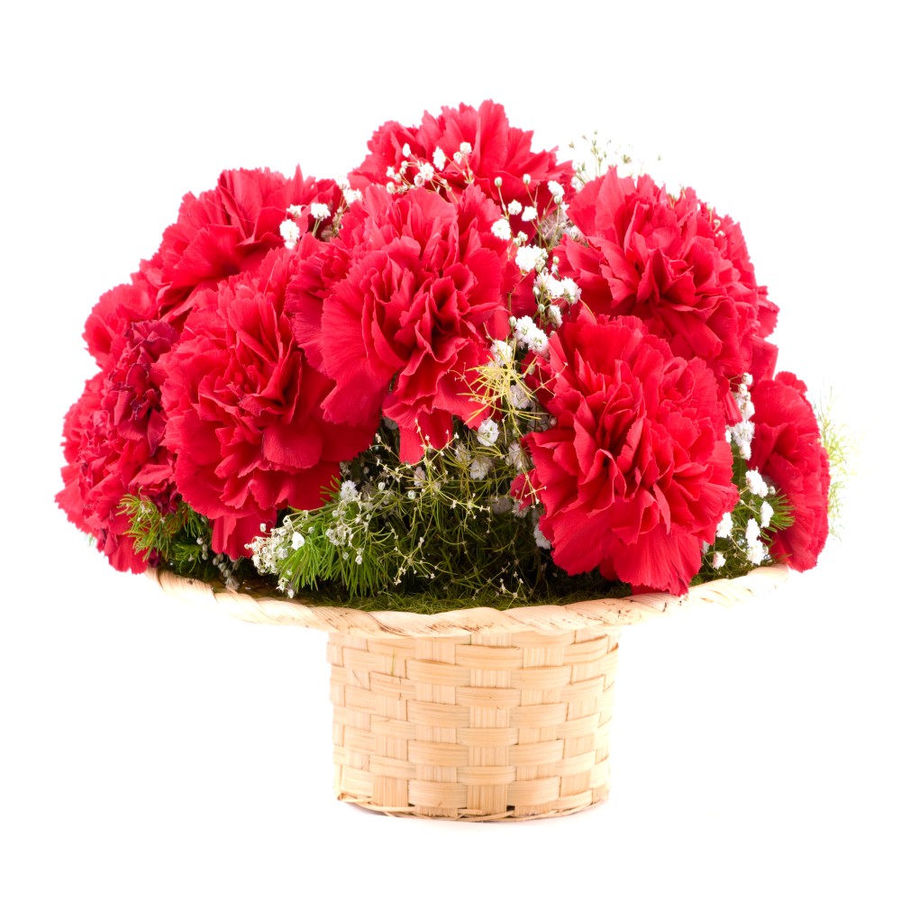 Basket Arrangement of Red Carnations
