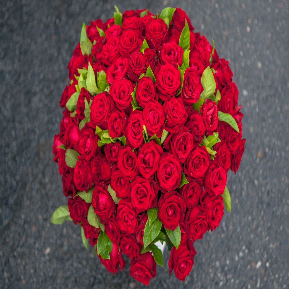 Hundred Red Roses Bunch