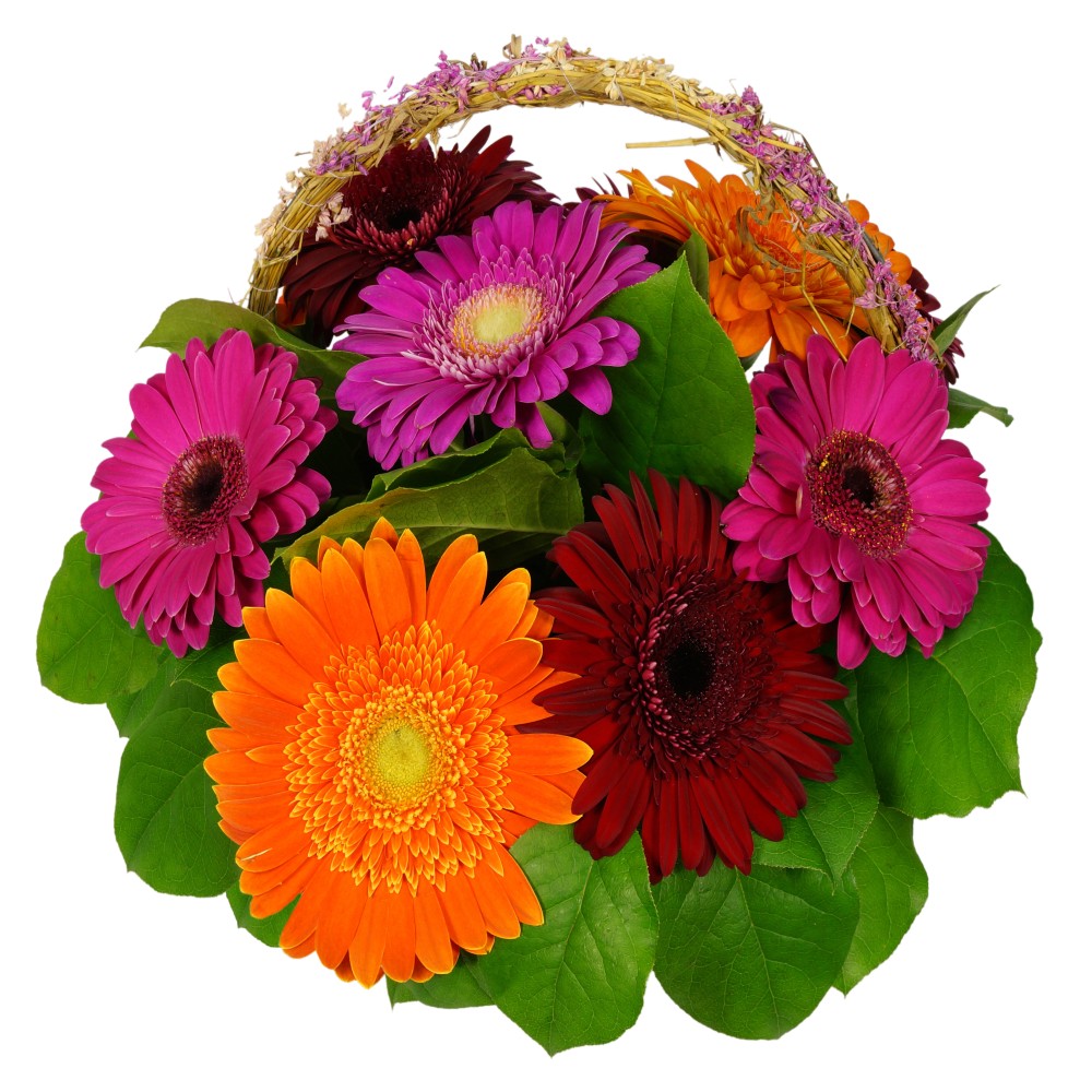 Small Basket of Gerberas