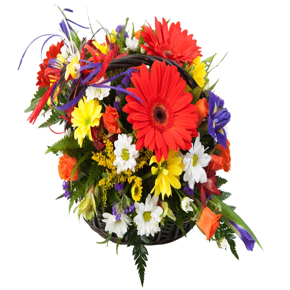 Mix Color Fresh Flower Basket