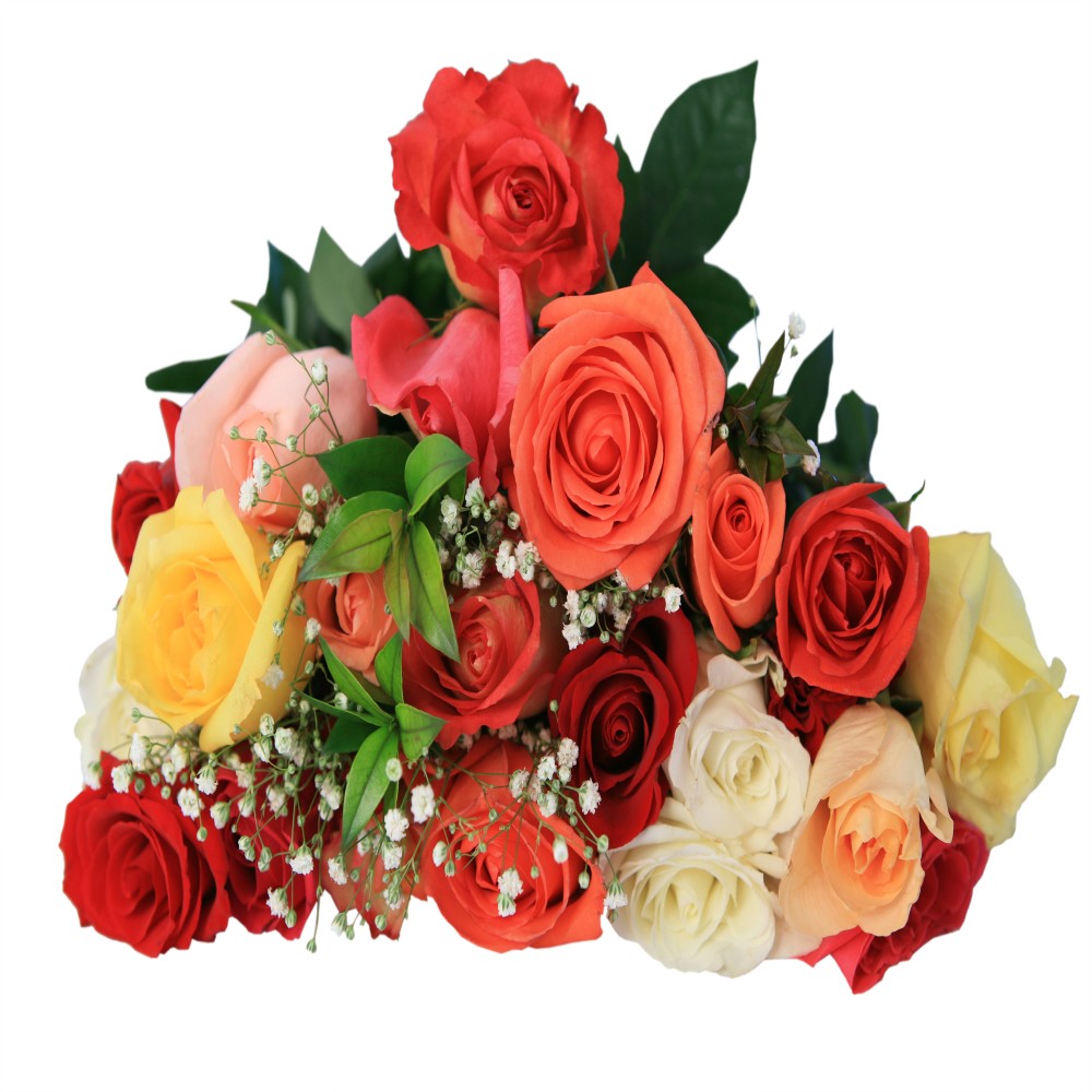 Bouquet of 22 Mix Roses