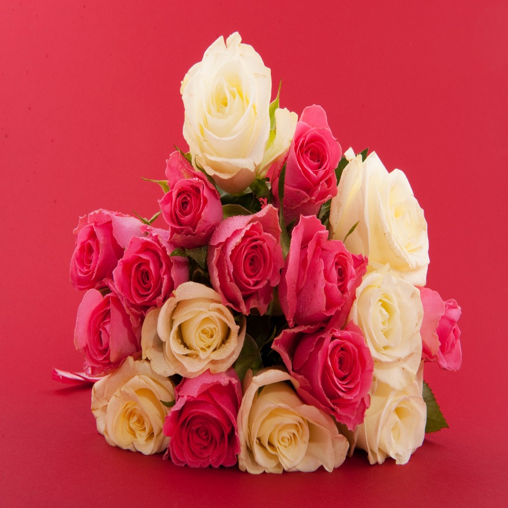 Bouquet of 20 Mix Roses