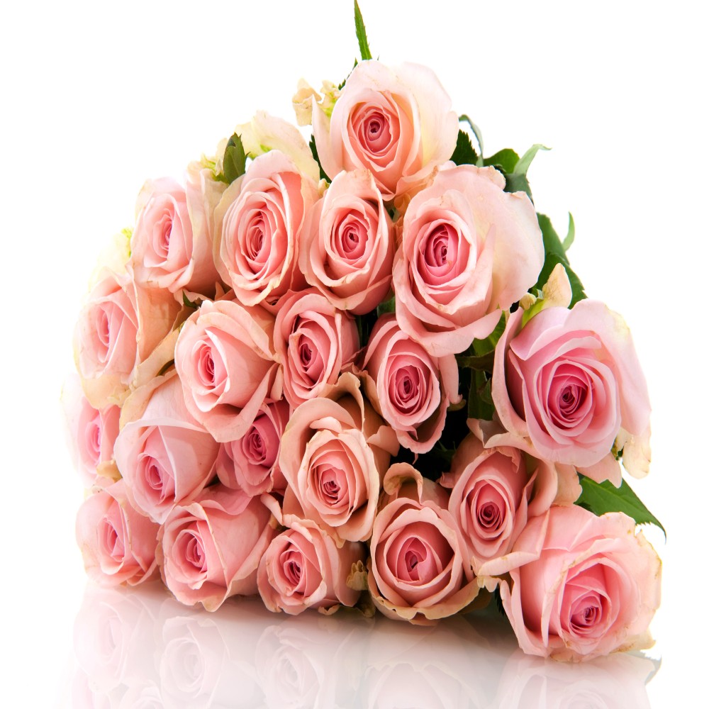 20 Pink Rose Bouquet