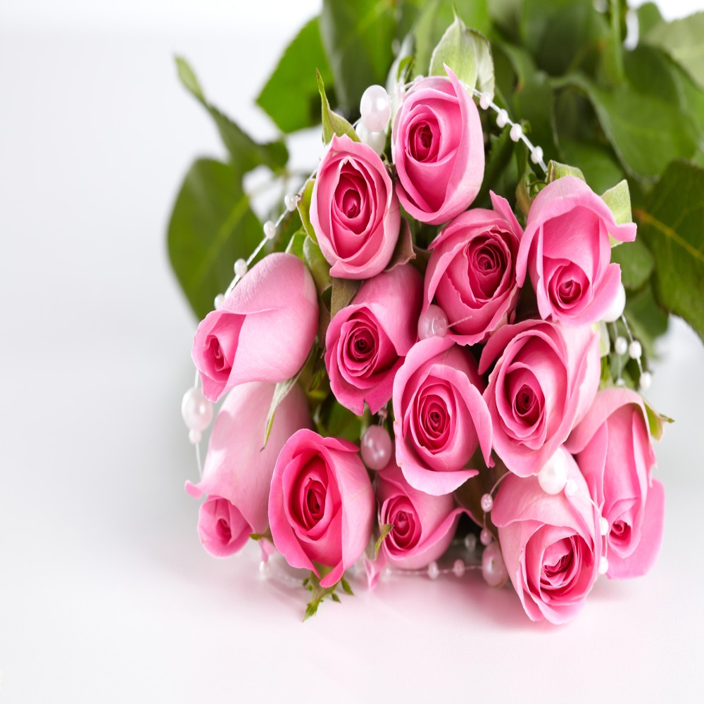 Bouquet of 13 Pink Roses