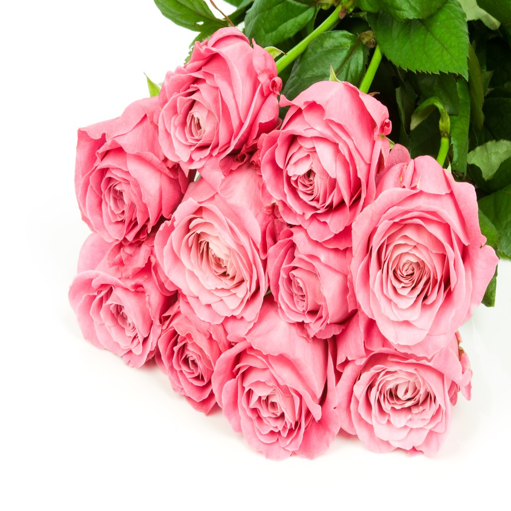 Fresh 10 Pink Roses In Bouquet