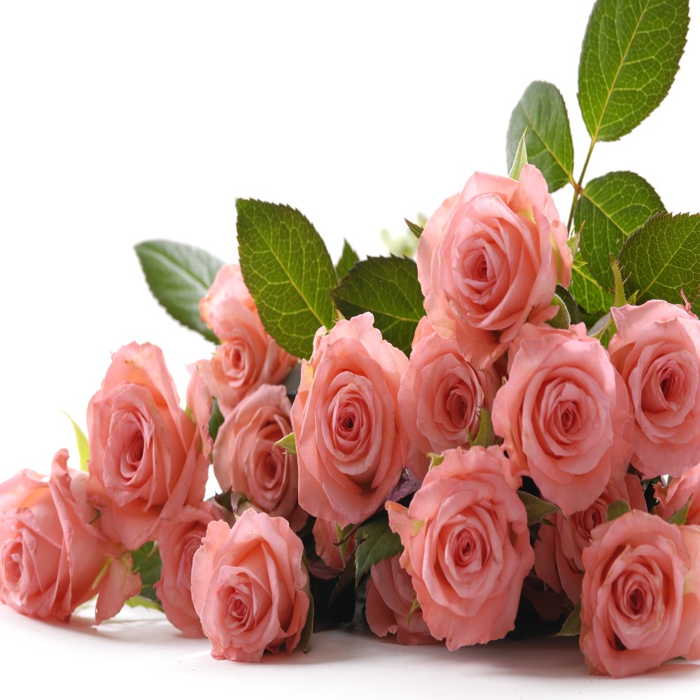 Bouquet of 17 Pink Roses