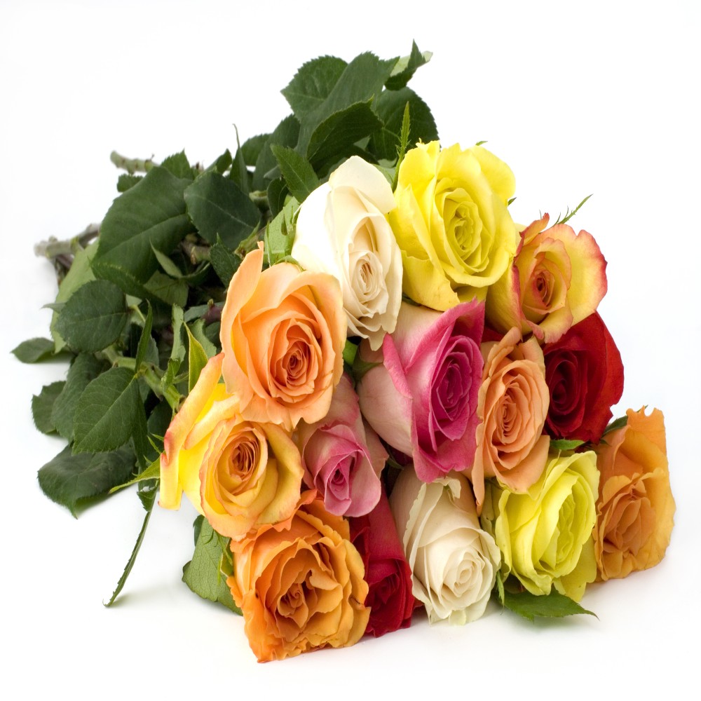 15 Mix Roses Bouquet