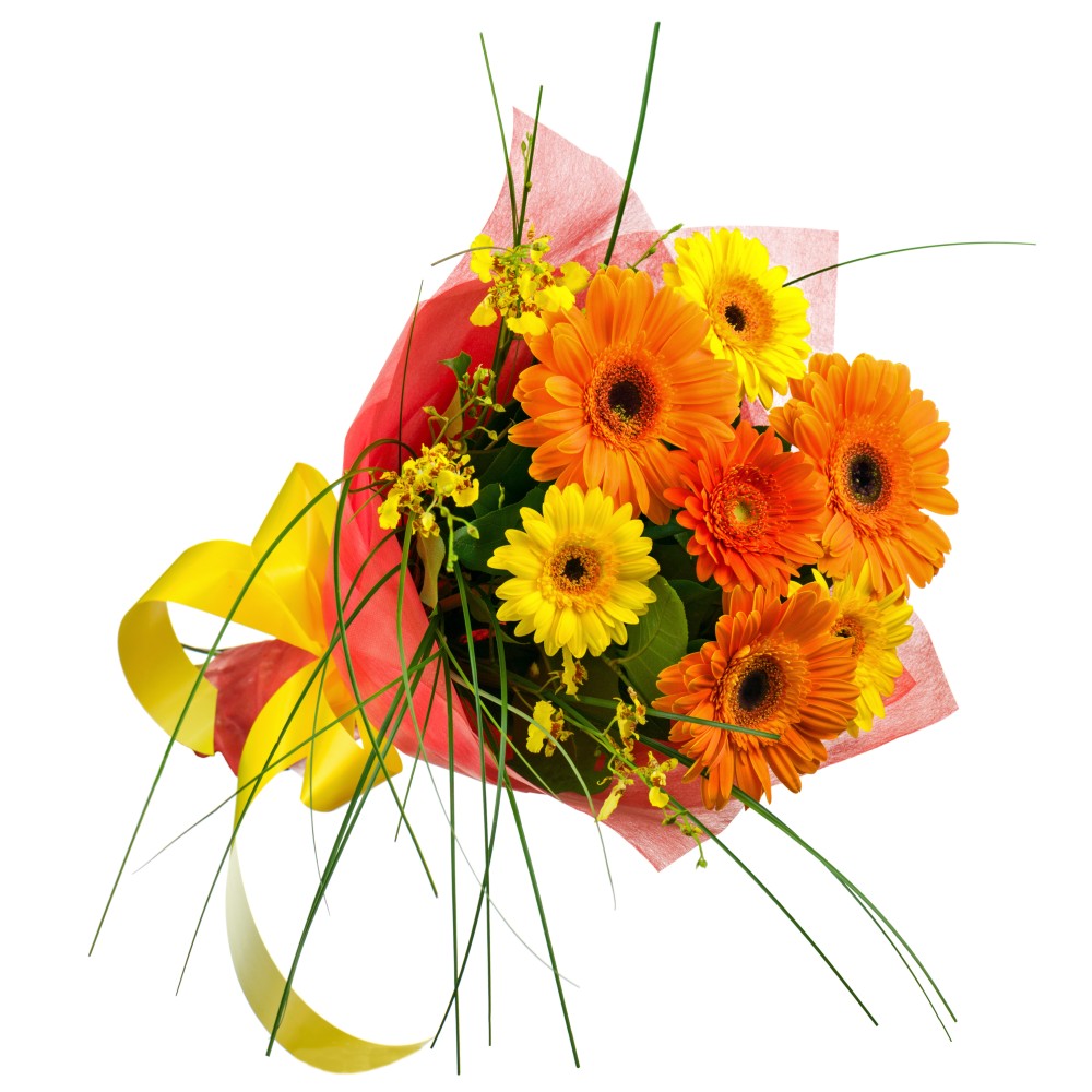 Bright Color Gerberas Bouquet