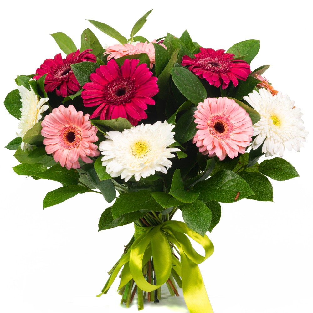 Ten Stem of Colored Gerberas In Bunch