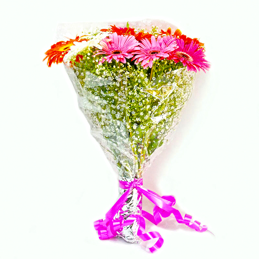 Twelve Mix Color Gerberas Hand Bunch