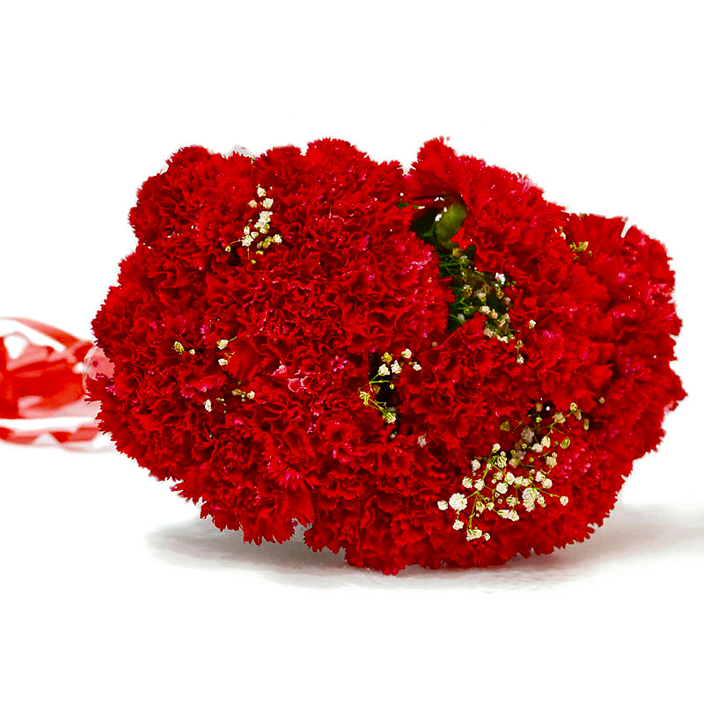 Resplendent Fifteen Red Carnation Bunch