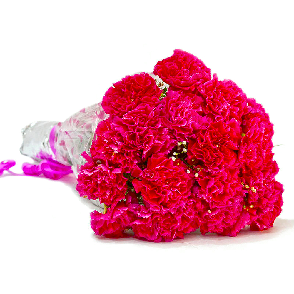 Beautiful Fifteen Pink Carnations Bouquet